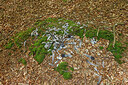 BUITEN BEELD Foto: 450208