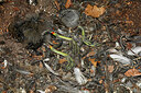 BUITEN BEELD Foto: 450212