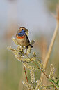 BUITEN BEELD Foto: 450219