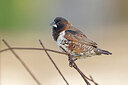 BUITEN BEELD Foto: 450235