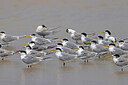 BUITEN BEELD Foto: 450242