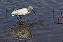 BUITEN BEELD Foto: 450248