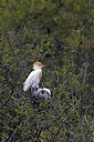 BUITEN BEELD Foto: 450252