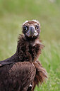 BUITEN BEELD Foto: 450257