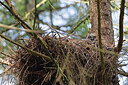 BUITEN BEELD Foto: 450258