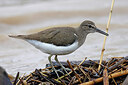BUITEN BEELD Foto: 450260