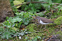 BUITEN BEELD Foto: 450261