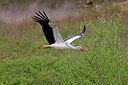 BUITEN BEELD Foto: 450262