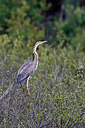 BUITEN BEELD Foto: 450264