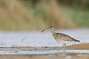 BUITEN BEELD Foto: 450267