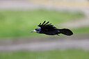 BUITEN BEELD Foto: 450269