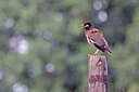 BUITEN BEELD Foto: 450275