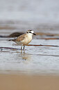 BUITEN BEELD Foto: 450277