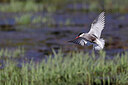 BUITEN BEELD Foto: 450280