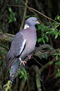 BUITEN BEELD Foto: 450283