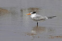 BUITEN BEELD Foto: 450285