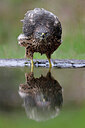 BUITEN BEELD Foto: 450295