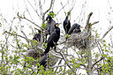 BUITEN BEELD Foto: 450296