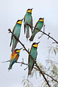 BUITEN BEELD Foto: 450299