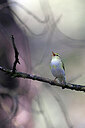 BUITEN BEELD Foto: 450310