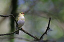 BUITEN BEELD Foto: 450311