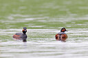 BUITEN BEELD Foto: 450314
