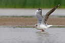 BUITEN BEELD Foto: 450321