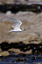 BUITEN BEELD Foto: 450324