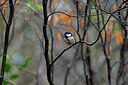 BUITEN BEELD Foto: 450336