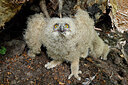BUITEN BEELD Foto: 450342