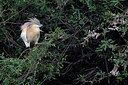 BUITEN BEELD Foto: 450349