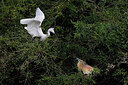 BUITEN BEELD Foto: 450350