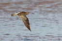 BUITEN BEELD Foto: 450352