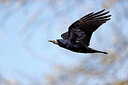 BUITEN BEELD Foto: 450356
