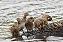 BUITEN BEELD Foto: 450363