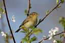 BUITEN BEELD Foto: 450365