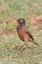 BUITEN BEELD Foto: 450366