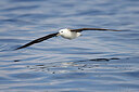 BUITEN BEELD Foto: 450370