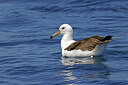 BUITEN BEELD Foto: 450371