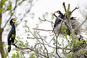 BUITEN BEELD Foto: 450376