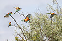 BUITEN BEELD Foto: 450378