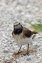 BUITEN BEELD Foto: 450379
