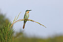 BUITEN BEELD Foto: 450392