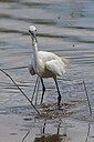 BUITEN BEELD Foto: 450398