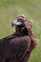 BUITEN BEELD Foto: 450402
