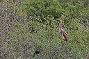 BUITEN BEELD Foto: 450403