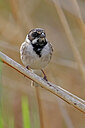 BUITEN BEELD Foto: 450405