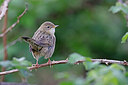 BUITEN BEELD Foto: 450408