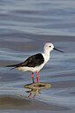 BUITEN BEELD Foto: 450409