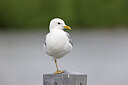 BUITEN BEELD Foto: 450410